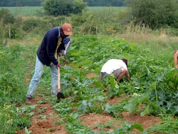 t-workers