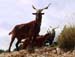wildlife_gorges
