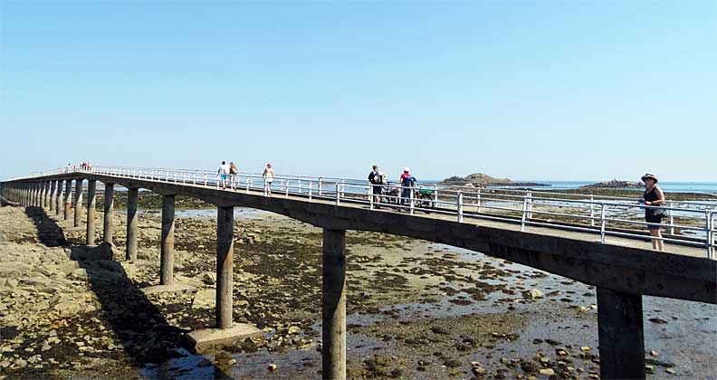 d_bridge
